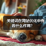 关键词在网站优化中有着什么作用？