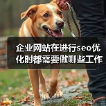 企业网站在进行seo优化时都需要做哪些工作？（图3）