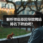 解析哪些原因导致网站排名下降的呢?（图2）
