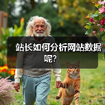 站长如何分析网站数据呢?(图4) 站长如何分析网站数据呢?(图4)