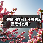 关键词排名上不去的原因是什么呢？
