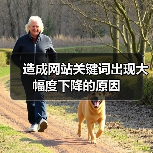 造成网站关键词出现大幅度下降的原因