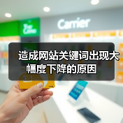 造成网站关键词出现大幅度下降的原因(图4) 造成网站关键词出现大幅度下降的原因(图4)