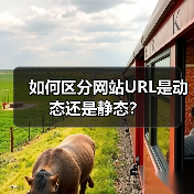 如何区分网站URL是动态还是静态？