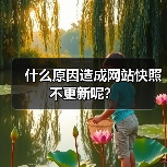 什么原因造成网站快照不更新呢？（图2）