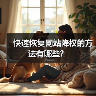 快速恢复网站降权的方法有哪些？（图2）