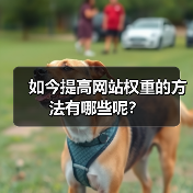 如今提高网站权重的方法有哪些呢？