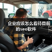 企业应该怎么看待目前的seo软件（图1）