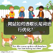 网站如何选取长尾词进行优化？（图3）