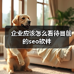 企业应该怎么看待目前的seo软件（图3）