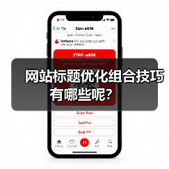 网站标题优化组合技巧有哪些呢？（图2）