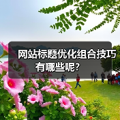 网站标题优化组合技巧有哪些呢？（图4）