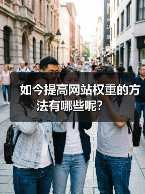 如今提高网站权重的方法有哪些呢？（图4）