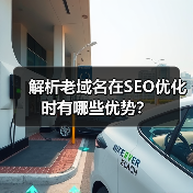 解析老域名在SEO优化时有哪些优势？（图3）