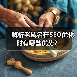 解析老域名在SEO优化时有哪些优势？（图2）