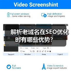 解析老域名在SEO优化时有哪些优势？