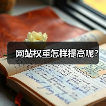 网站权重怎样提高呢?(图3) 网站权重怎样提高呢?(图3)