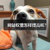 网站权重怎样提高呢？