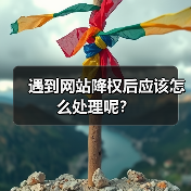 遇到网站降权后应该怎么处理呢？（图2）