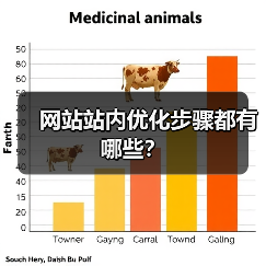 网站站内优化步骤都有哪些？（图3）