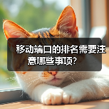 移动端口的排名需要注意哪些事项？（图4）