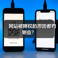 网站被降权的原因都有哪些？（图4）