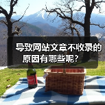 导致网站文章不收录的原因有哪些呢？（图4）