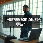 网站被降权的原因都有哪些？（图1）