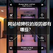 网站被降权的原因都有哪些？（图3）