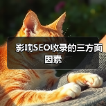影响SEO收录的三方面因素（图3）