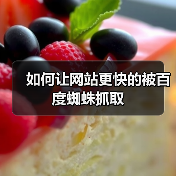 如何让网站更快的被百度蜘蛛抓取（图4）