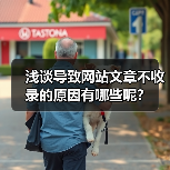 浅谈导致网站文章不收录的原因有哪些呢？