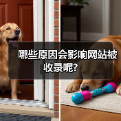 哪些原因会影响网站被收录呢?（图2）