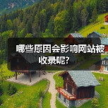 哪些原因会影响网站被收录呢?