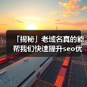 「揭秘」老域名真的能帮我们快速提升seo优化效果吗?(图2) 「揭秘」老域名真的能帮我们快速提升seo优化效果吗?(图2)