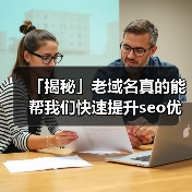 「揭秘」老域名真的能帮我们快速提升seo优化效果吗?(图3) 「揭秘」老域名真的能帮我们快速提升seo优化效果吗?(图3)