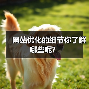 网站优化的细节你了解哪些呢?(图4) 网站优化的细节你了解哪些呢?(图4)