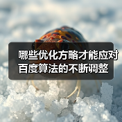 哪些优化方略才能应对百度算法的不断调整