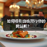 如何吸引蜘蛛爬行你的网站呢?(图3) 如何吸引蜘蛛爬行你的网站呢?(图3)