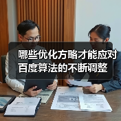 哪些优化方略才能应对百度算法的不断调整(图4) 哪些优化方略才能应对百度算法的不断调整(图4)