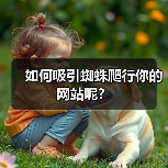 如何吸引蜘蛛爬行你的网站呢?(图2) 如何吸引蜘蛛爬行你的网站呢?(图2)