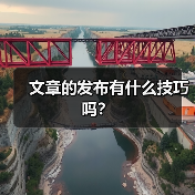 文章的发布有什么技巧吗？