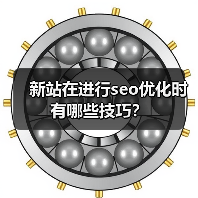 新站在进行seo优化时有哪些技巧？