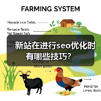 新站在进行seo优化时有哪些技巧？（图3）