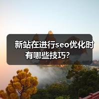 新站在进行seo优化时有哪些技巧？（图2）