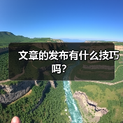 文章的发布有什么技巧吗?(图4) 文章的发布有什么技巧吗?(图4)
