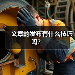 文章的发布有什么技巧吗?(图3) 文章的发布有什么技巧吗?(图3)