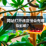 网站打开速度慢会有哪些影响？（图4）