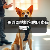 影响网站排名的因素有哪些？（图1）