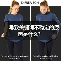 导致关键词不稳定的原因是什么？（图2）